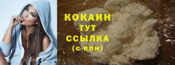 кокс Касимов