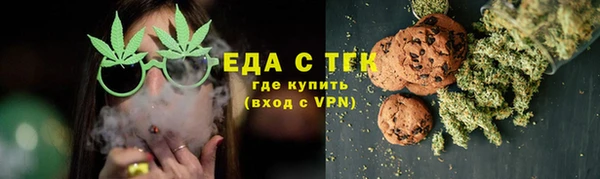 кокс Касимов