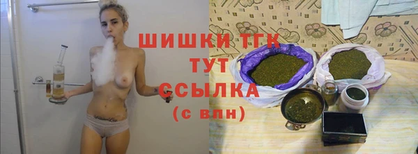 прущие крисы Карпинск