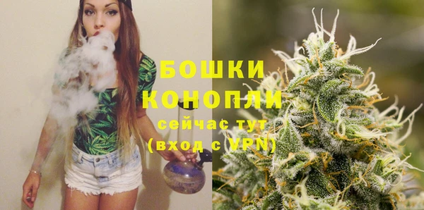 кокс Касимов