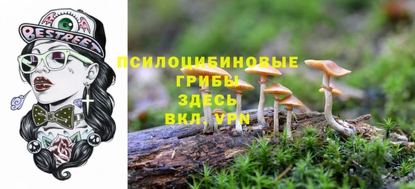прущие крисы Карпинск